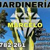 Jardineros_JARDINERIA_FLOR_DIAMANTE_Altea_Portada.jpg