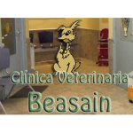 clinica-veterinaria-beasain