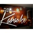 pub-karaoke-treintitantos