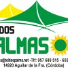 logopalmasol.jpg