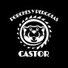 porche_y_pergolas_castor_logo.jpg