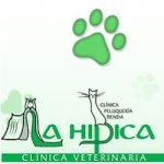 clinica-veterinaria-la-hipica