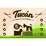 animales-de-compania-tucan