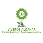 viveros-alcanar-finca-mas-del-pi