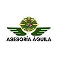 asesoria-aguila