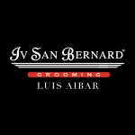 iv-san-bernard-grooming-by-luis-aibar