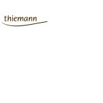 friedrich-thiemann-s-l