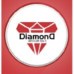 diamond-seguridad