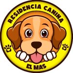 residencia-canina-el-mas