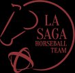 la-saga-horseball-team