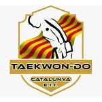 taekwondo-itf-escuela-internacional-taekwondo