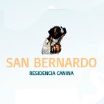 residencia-canina-san-bernardo